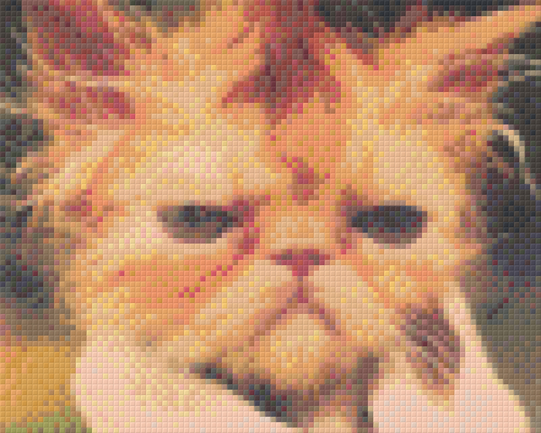 Grumpy Wet Cat Four [4] Baseplate PixelHobby Mini-mosaic Art Kit image 0